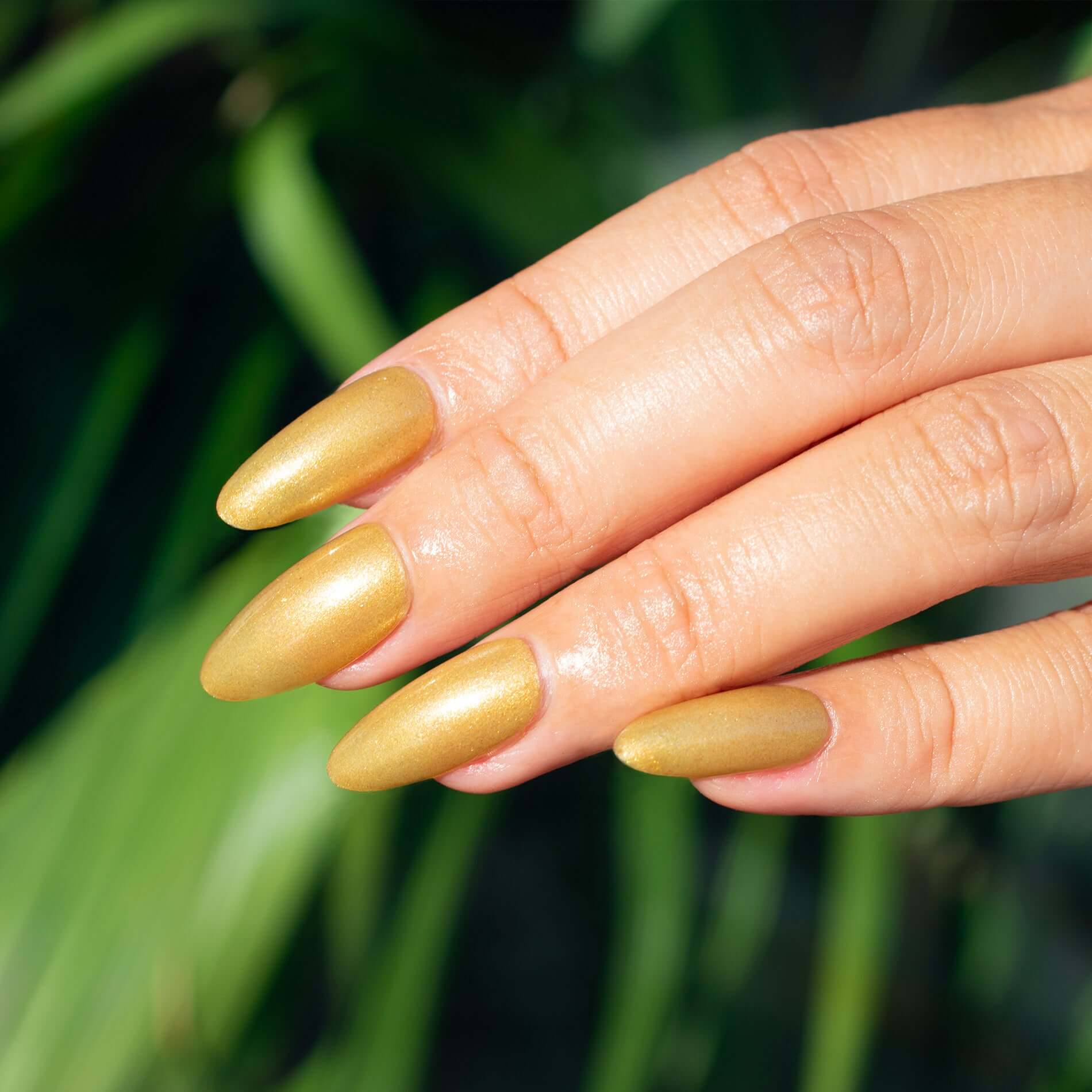 Hello Birdie Nail Polish Goldfinch Hello Birdie Nail & Lash Lab