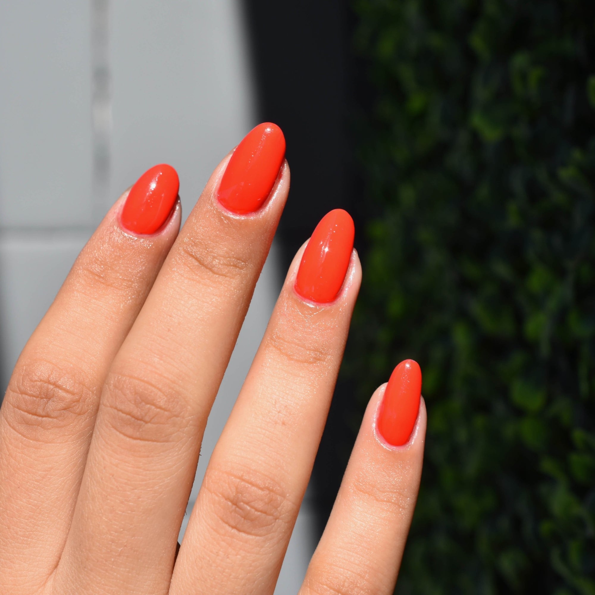 a Model's hand wearing Cheep Thrill Nail Polish from Hello Birdie with a medium skin tone. The background has a grey tile wall  on a diagonal with green plants on the other side. Cheep Thrill is a poppy red color.