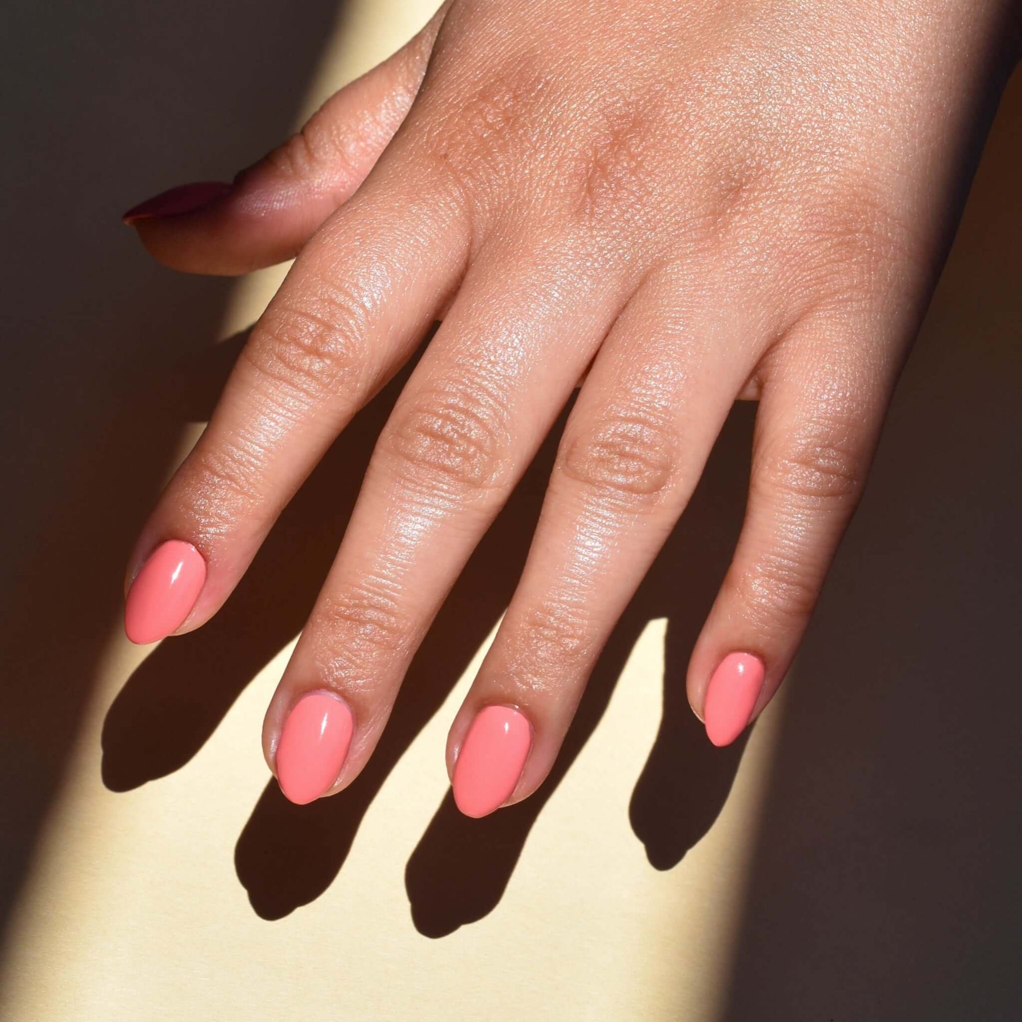 Hello Birdie Nail Polish - Cupid Sparrow - Hello Birdie Nail & Lash Lab